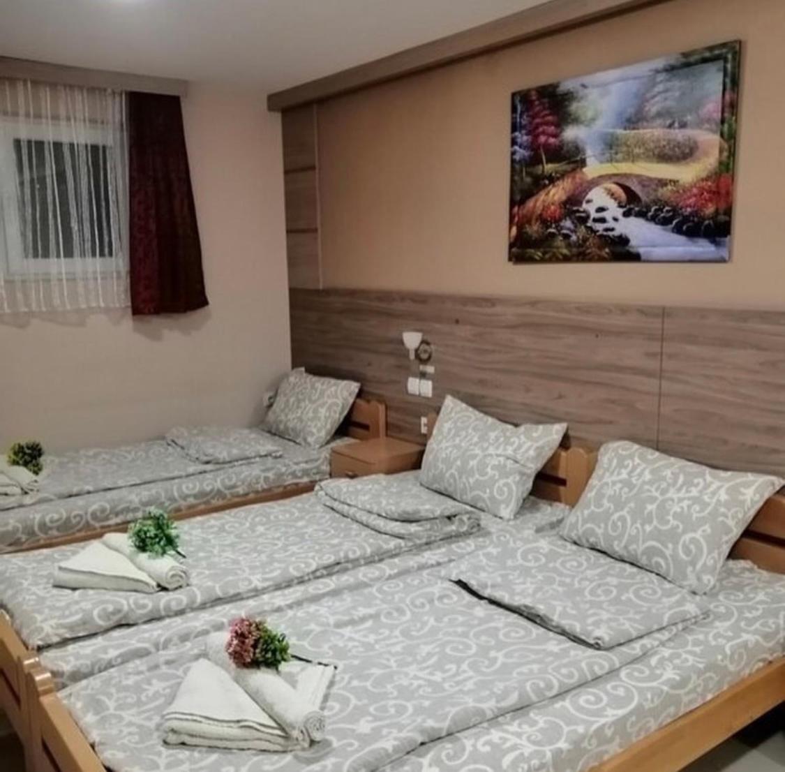 סוקו בניה Konak Vila Mirkovic מראה חיצוני תמונה